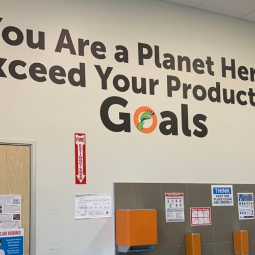Wall Graphics